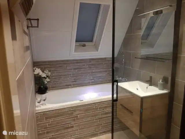 Vijverzicht 221 met Whirlpool huren in Nederland, Overijssel, Gramsbergen - vakantiehuis Nieuwe badkamer