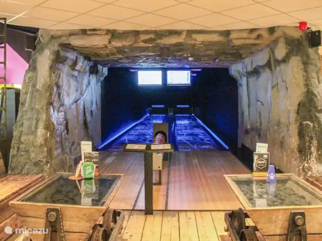 Vijverzicht 221 met Whirlpool huren in Nederland, Overijssel, Gramsbergen - vakantiehuis De bowlingbaan in de plaza, te reserveren bij de horeca.