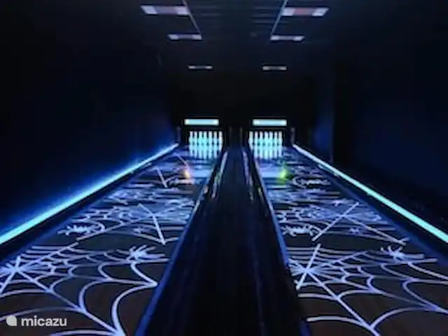 Vijverzicht 221 met Whirlpool huren in Nederland, Overijssel, Gramsbergen - vakantiehuis