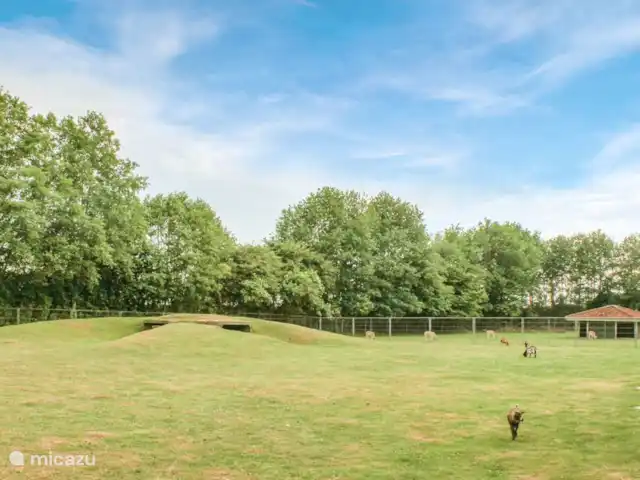 Vijverzicht 221 met Whirlpool huren in Nederland, Overijssel, Gramsbergen - vakantiehuis Het hertenkamp.