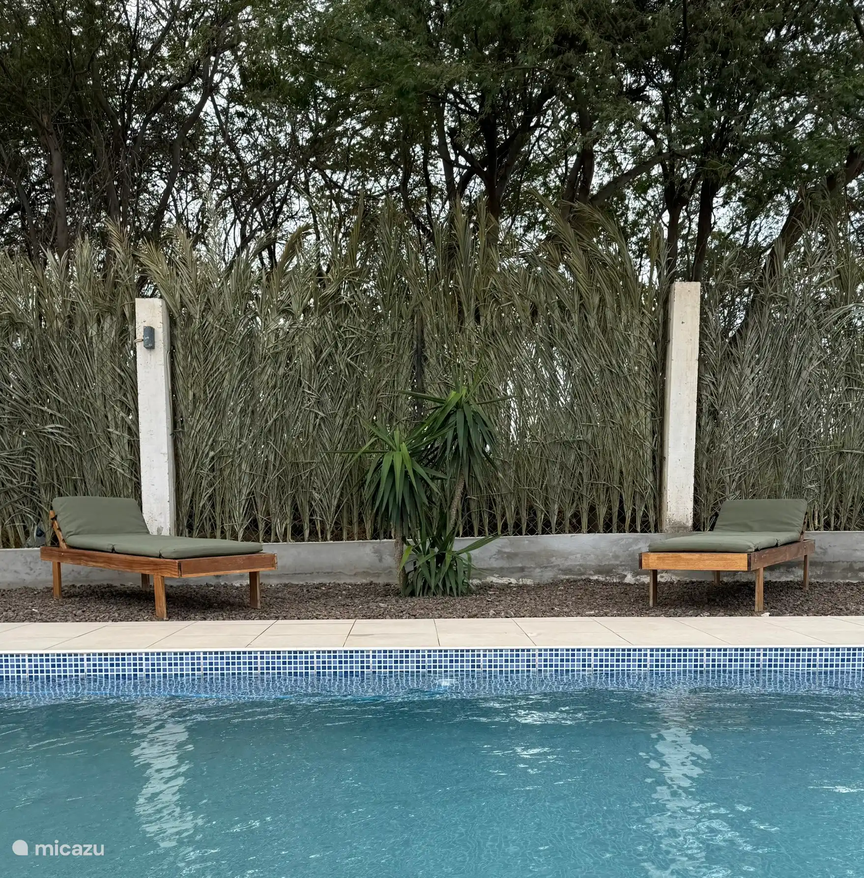 Ligbedden bij zwembad