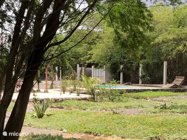 Location de Vacances Cap-Vert, Sao Vicente, Mindelo, maison de vacances - Casa Palmeira Jardin