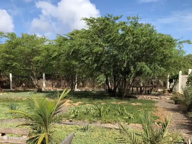 Location de Vacances Cap-Vert, Sao Vicente, Mindelo, maison de vacances - Casa Palmeira Jardin