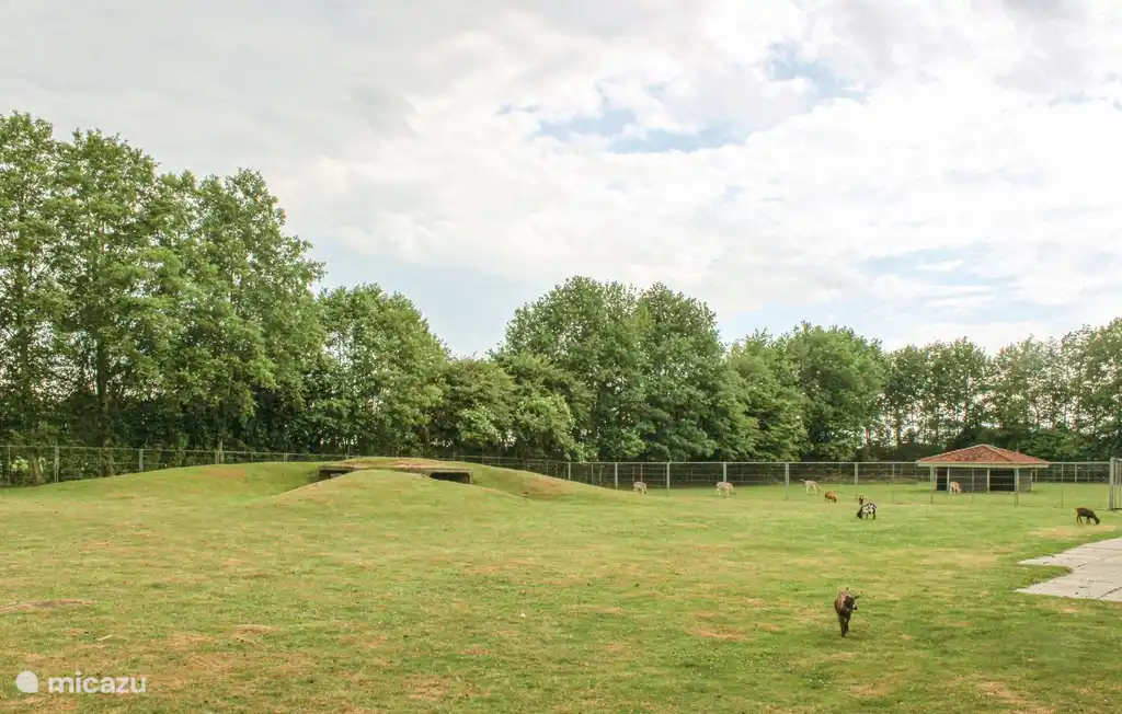 Der Wildpark im Streichelzoo.