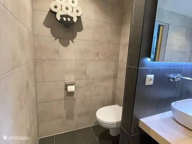 bungalow huren in Nederland, Noord-Brabant, Baarle-Nassau – Rietdekker Badkamer wc