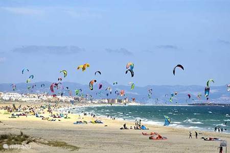  Tarifa the place of the wind, surfers, whales and dolphins. 