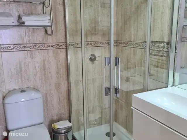 Location de Vacances Espagne, Costa del Sol, Puerto De La Duquesa, penthouse - Penthouse Duquesa près d’Estepona petite salle de bain, douche WC et lavabo