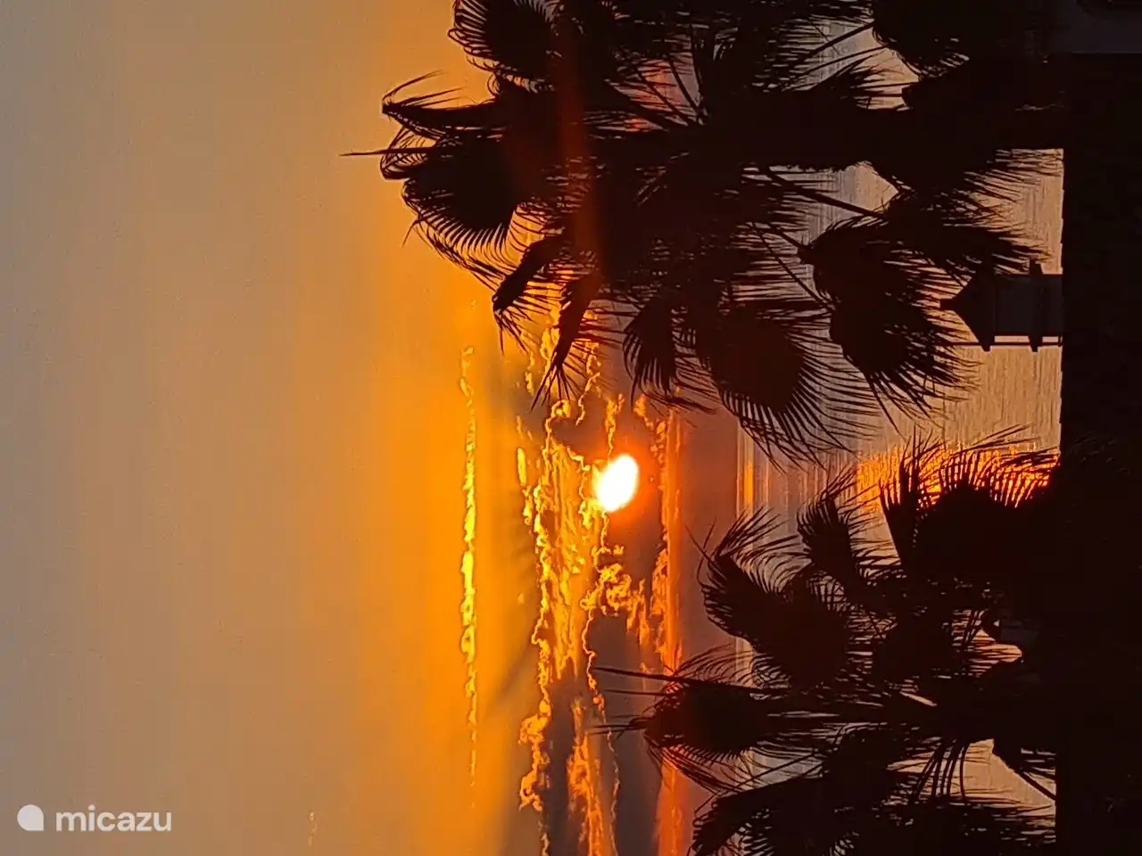 Genießen Sie die aufgehende Sonne auf unserer Terrasse