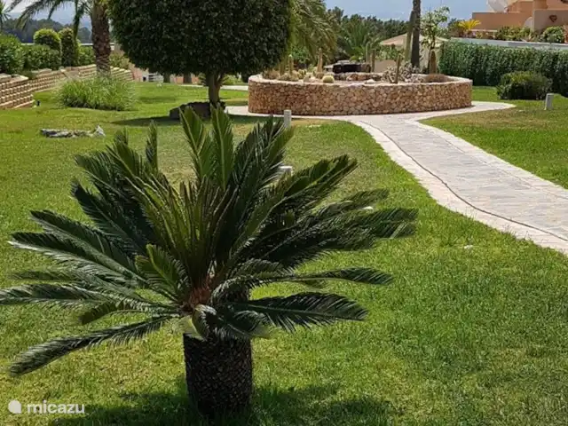 Wandelen, Spanje, Costa Blanca, Altea la Vieja, appartement Appartement Grand la Nova Tuin