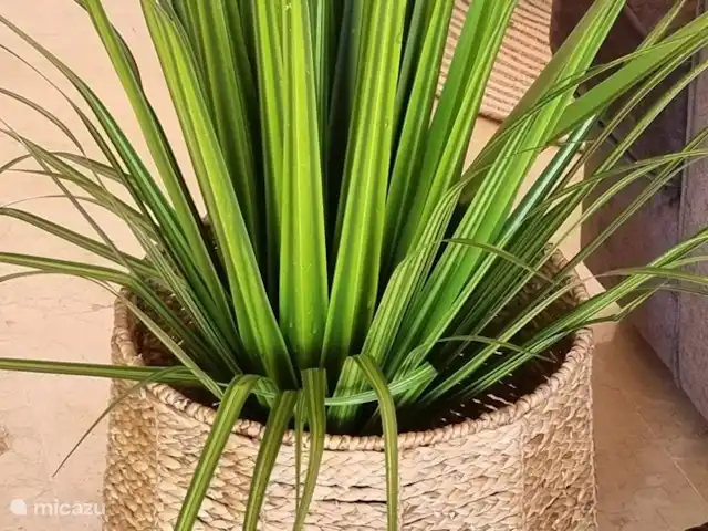 Wandelen, Spanje, Costa Blanca, Altea la Vieja, appartement Appartement Grand la Nova