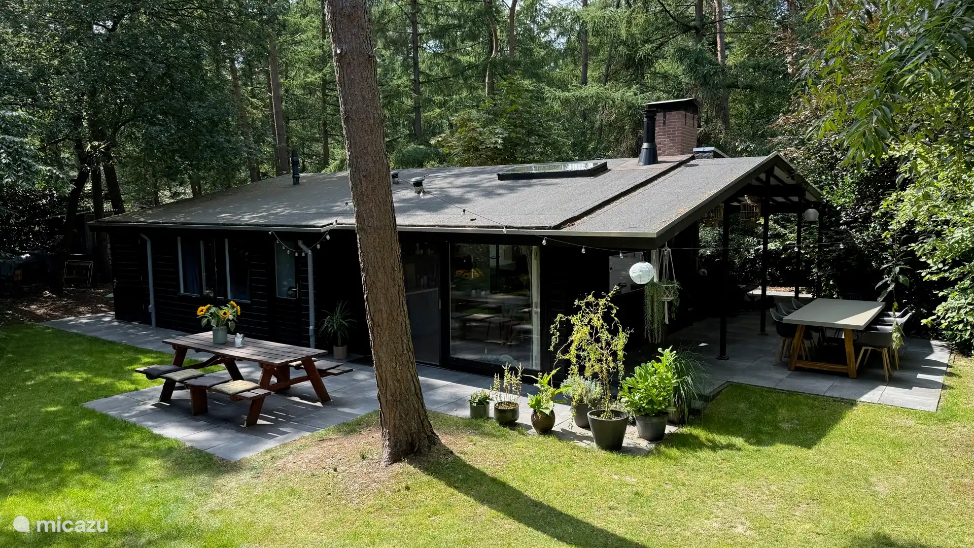 bungalow, Giethmen, Overijssel, Niederlande - Giethmenseveld das schönste Haus