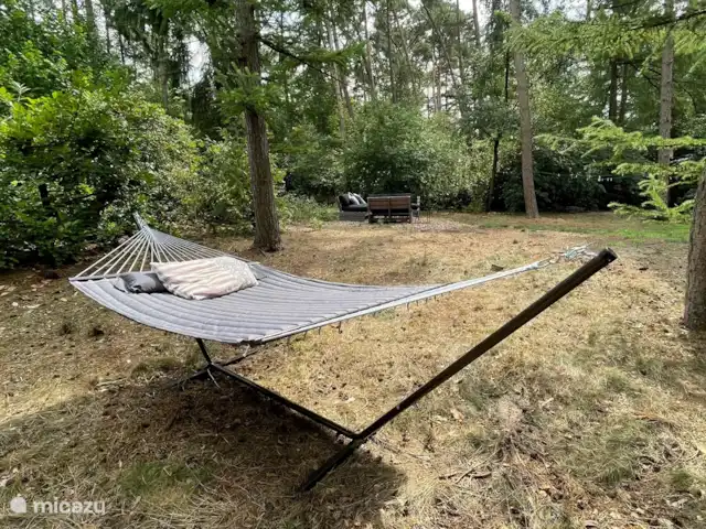 Giethmenseveld la plus belle maison | Pays-Bas, Overijssel, Giethmen - bungalow Se détendre dans un hamac ? Qui peut!