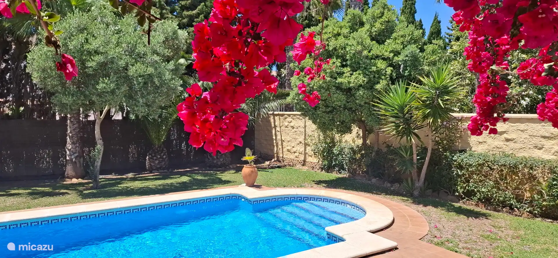 Piscina en un jardín subtropical