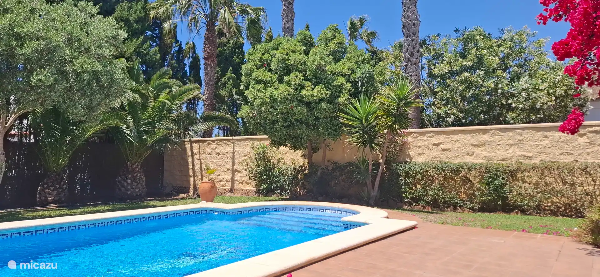 Piscina en un jardín subtropical