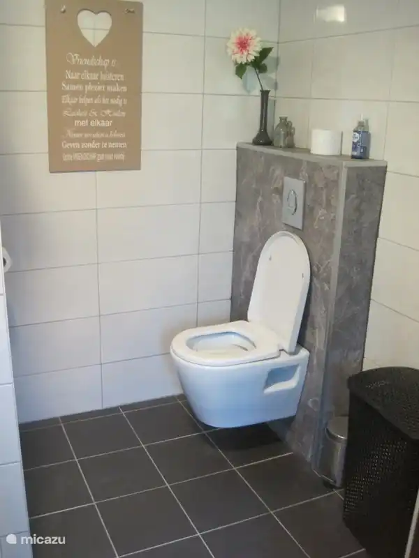 badkamer met verhoogd toilet