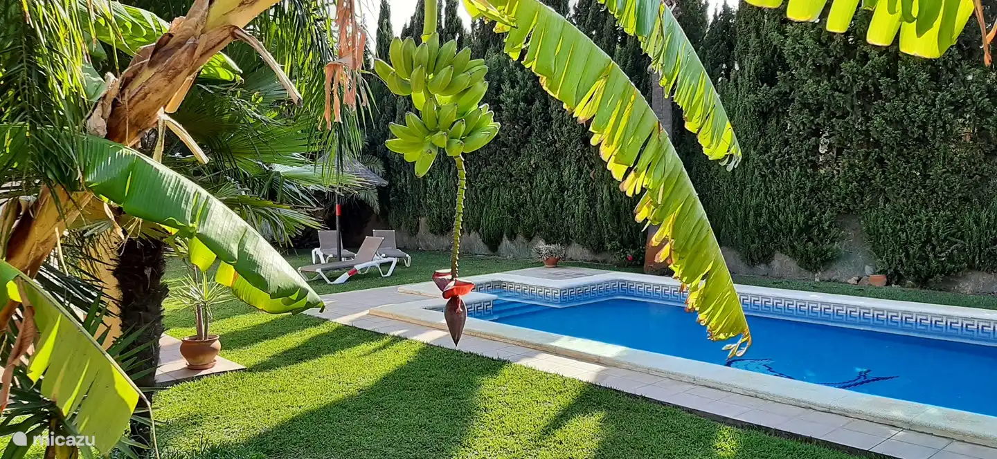 Groot zwembad in subtropische tuin