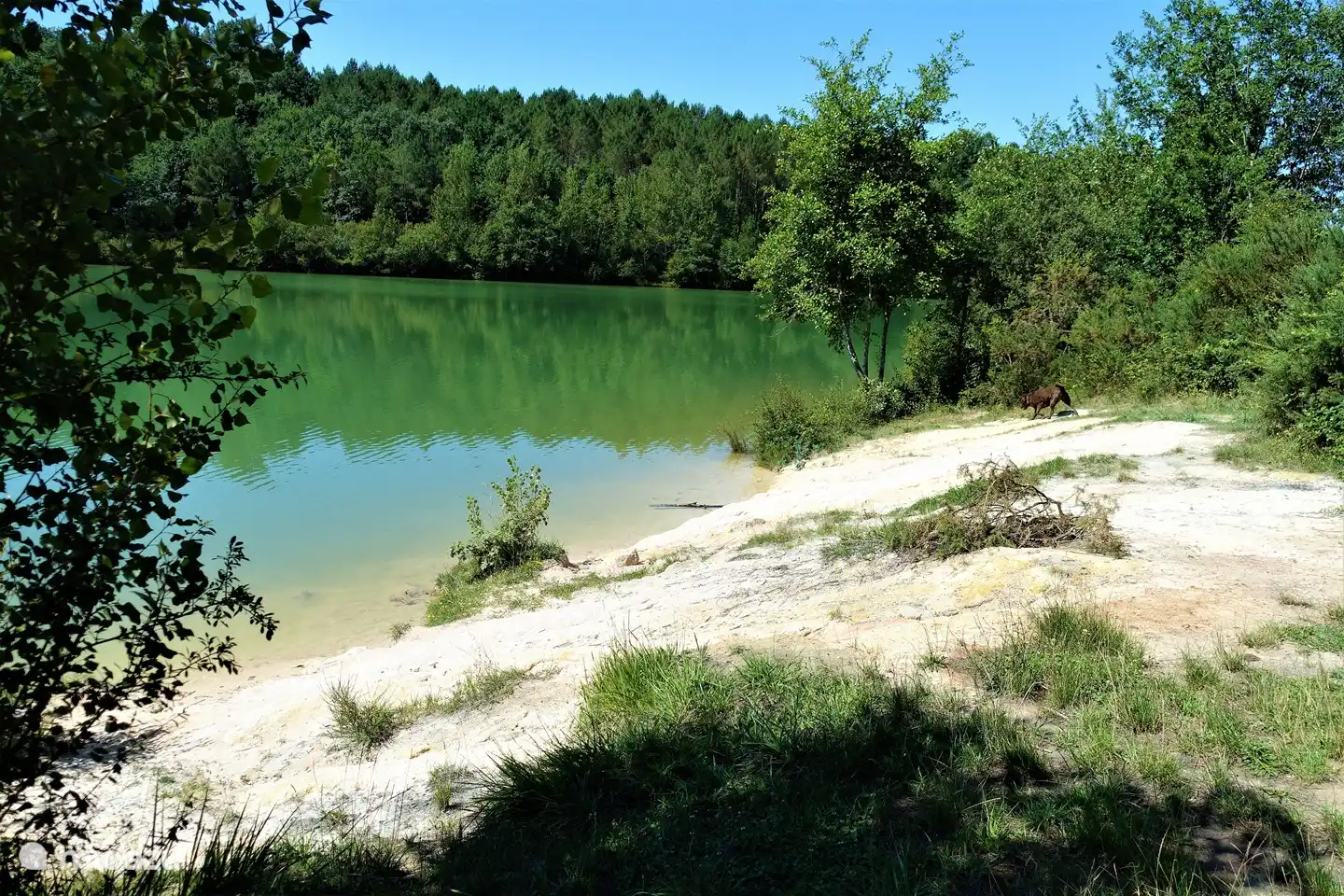 nice beach and very clean water