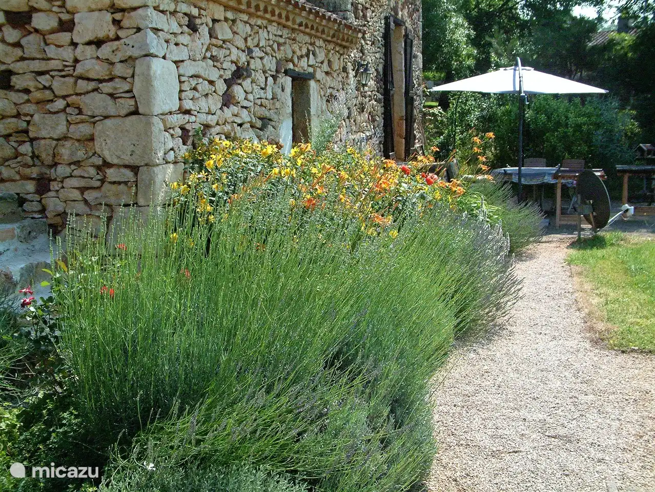 Summer bloomers at the terrace