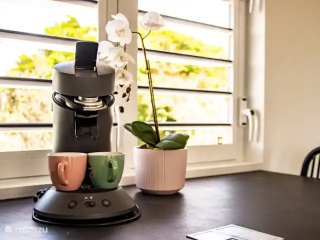 Villa Malibu Complexe Sécurisé | Curaçao, Banda Abou (ouest), Fontein - villa Délicieuse tasse de café en vacances à Malibu