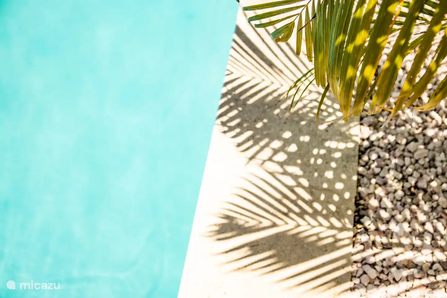 Decoración @ la piscina Malibú 