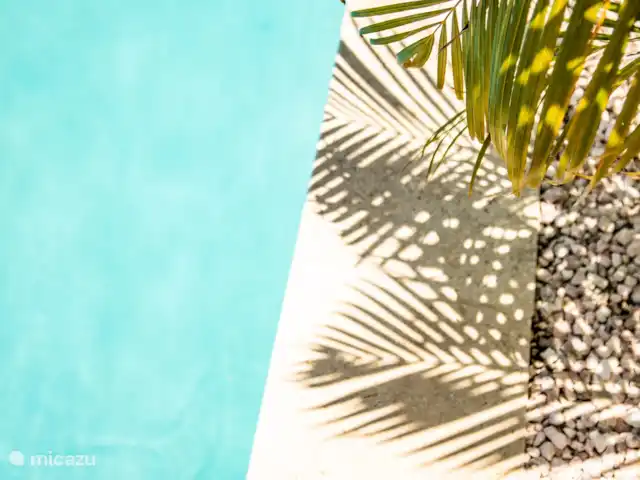 Villa Malibu Complexe Sécurisé | Curaçao, Banda Abou (ouest), Fontein - villa Décoration @ la piscine Malibu