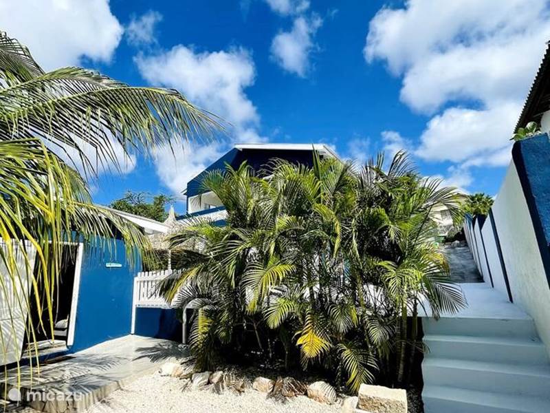 Ferienwohnung Curaçao, Banda Ariba (Ost), Cas Grandi Ferienhaus Villa Verdi – Luxuriöses tropisches Zuhause