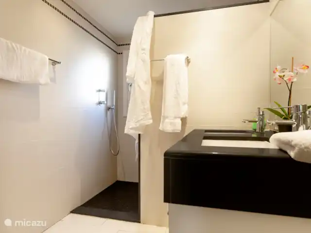 Villa Sabina huren in Spanje, Costa Blanca, Moraira - villa Badkamer met douche