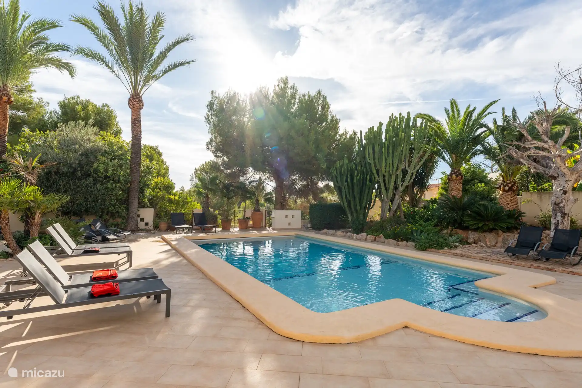 Schwimmbad und Garten