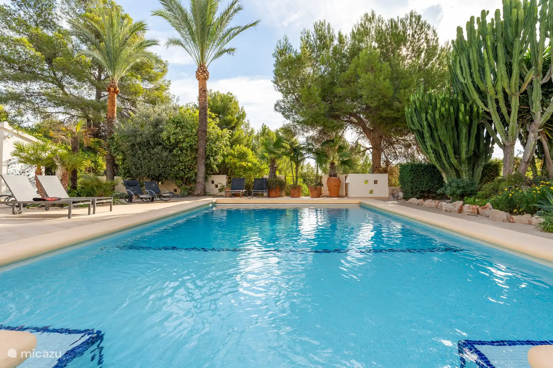 Schwimmbad und Garten