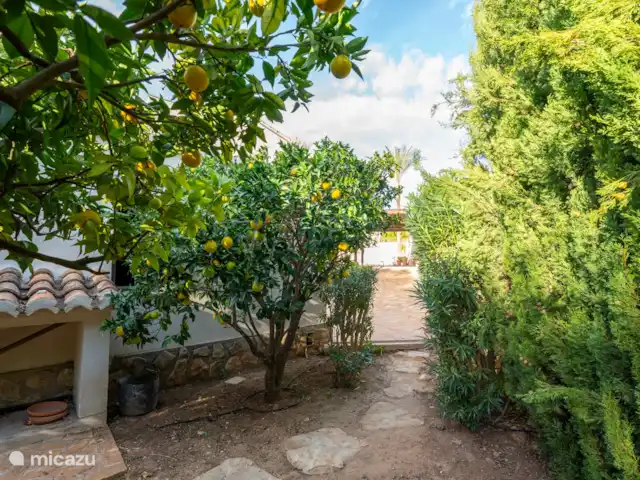 Villa Sabina huren in Spanje, Costa Blanca, Moraira - villa achter tuin