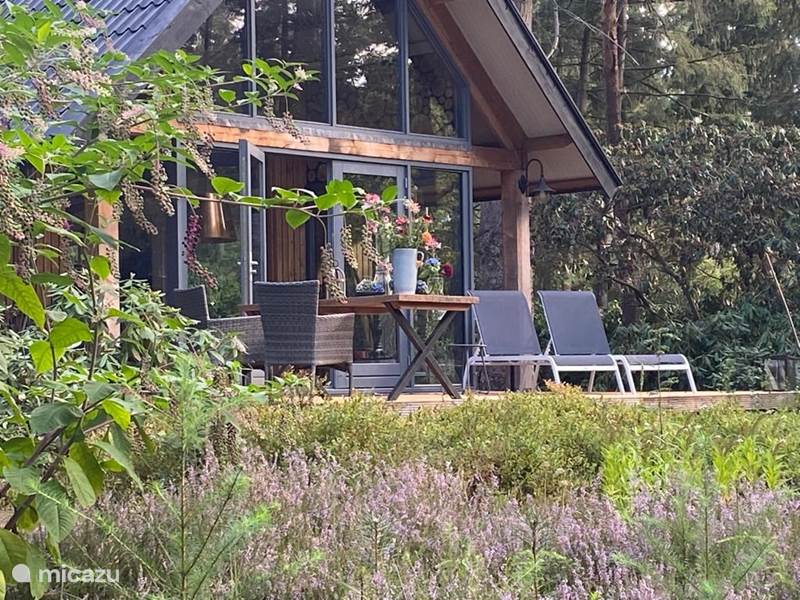 Maison de Vacances Pays-Bas, Gueldre, Bennekom Maison de vacances Maison forestière élégante et lumineuse avec jacuzzi