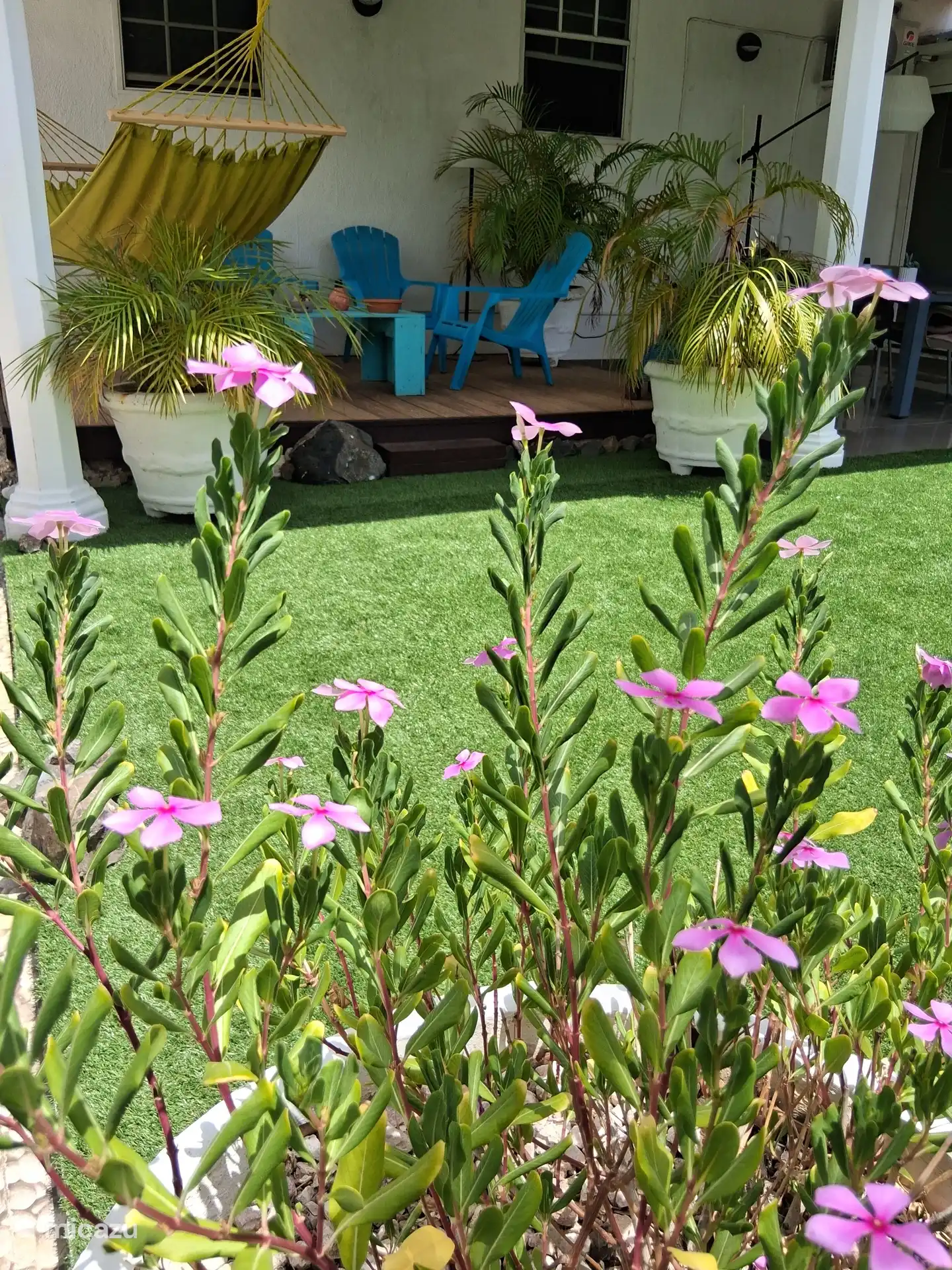 Hay mucha vegetación en el patio. 