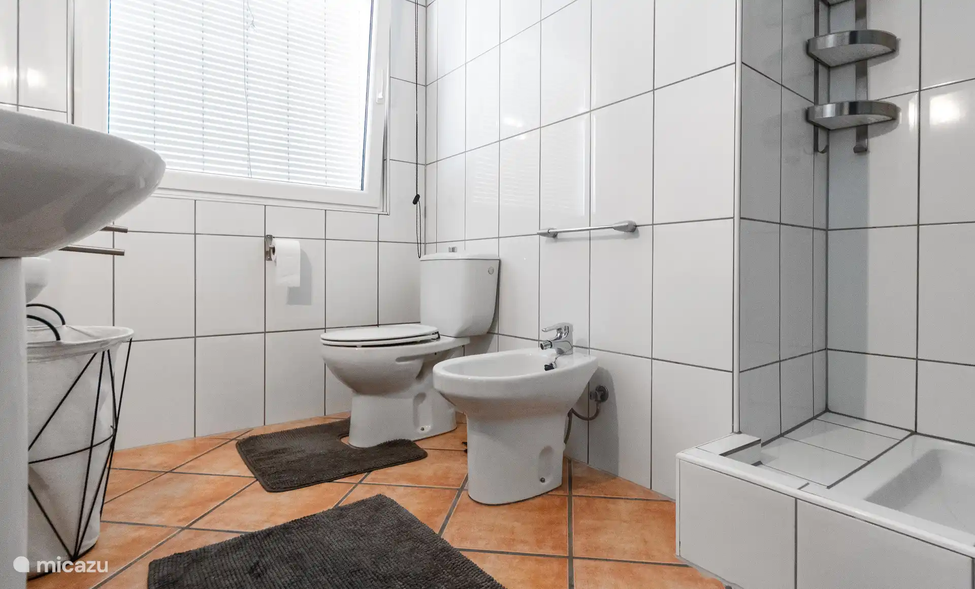 Badezimmer mit Bidet und Dusche