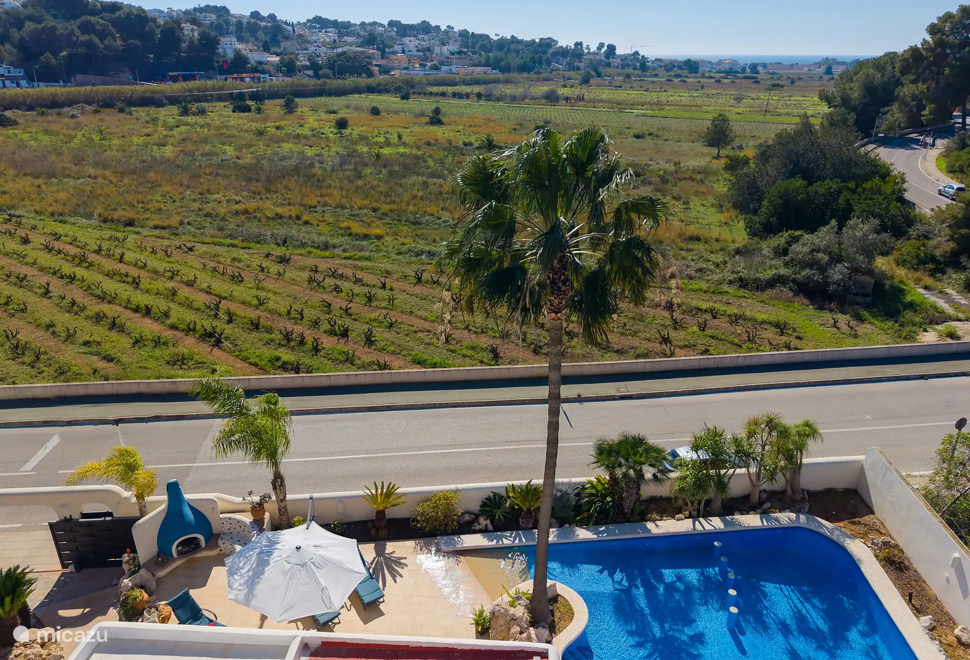 Wijngaard voor het huis