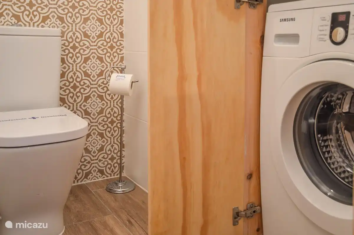 Separate toilet with built-in washing machine