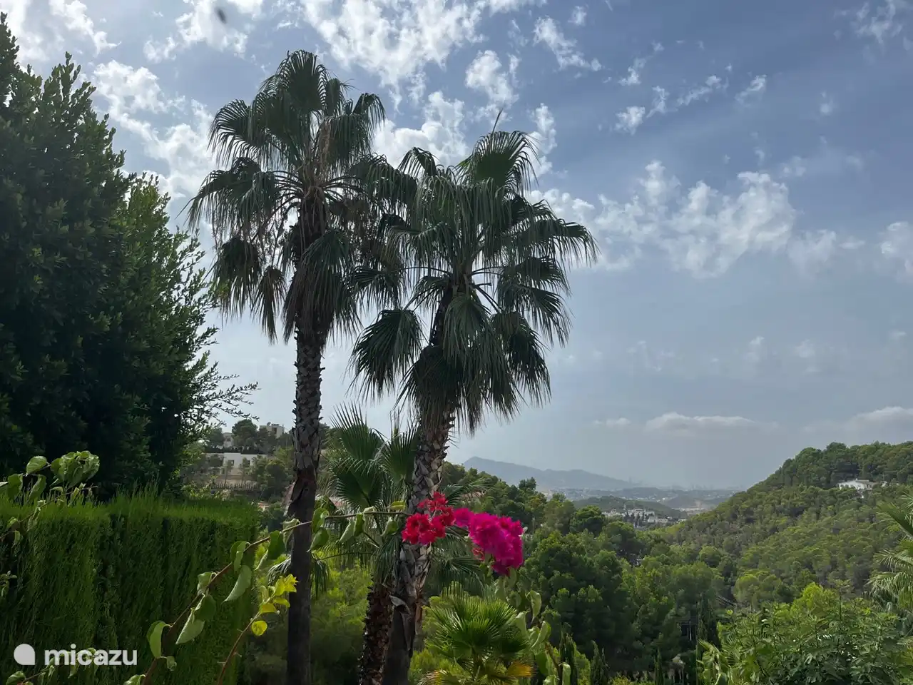 Vue depuis la terrasse