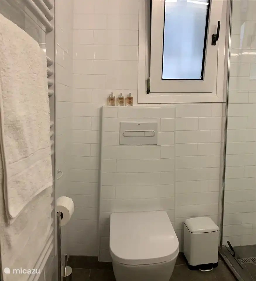 Regendusche, Doppelwaschbecken und Toilette im Hauptschlafzimmer