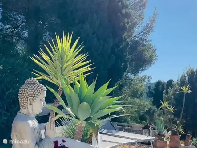 Villa12 huren in Spanje, Costa Blanca, Alcalali - villa Vanaf jouw moment van aankomst volledig Zen