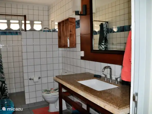 Villa Leguano Julianadorp Curaçao huren in Curaçao, Curacao-Midden, Julianadorp - vakantiehuis In de 2 badkamers bieden wij: handdoeken, groot en klein, haardroger, wasmand, kledinghaken