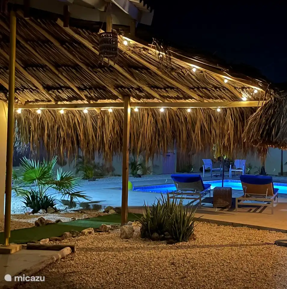 Cozy garden with lighting