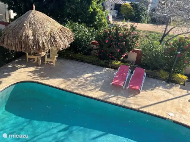 Location de Vacances Aruba, Nord, Alto Vista, penthouse - Casa Aruba Penthouse appartement Vue du patio sur la piscine