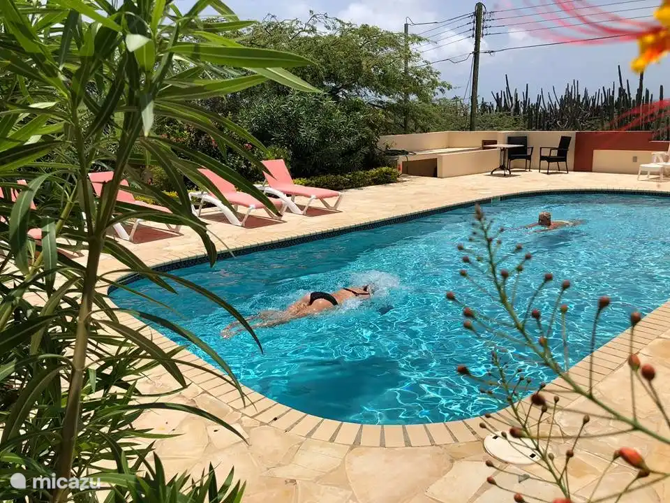 Schöner privater Pool. Und immer ein schönes Bett.