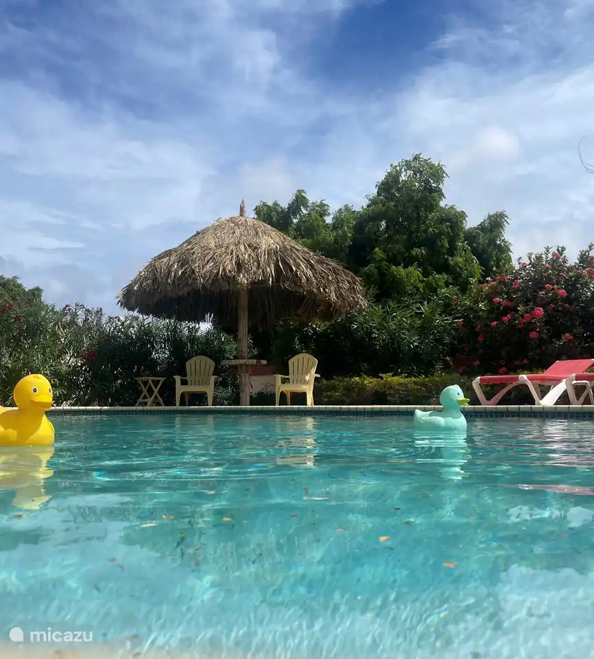 Unser schönes Schwimmbad mit immer Schatten