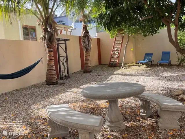 Location de Vacances Aruba, Nord, Alto Vista, penthouse - Casa Aruba Penthouse appartement Jardin avec coin salon confortable, hamac et chaises longues
