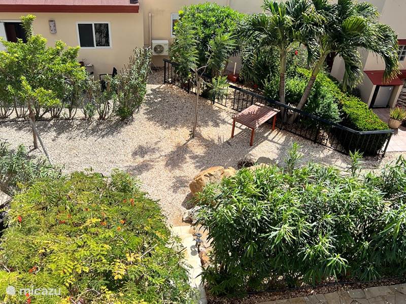 Ferienwohnung Aruba, Aruba Nord, Alto Vista Penthouse Casa Aruba Penthouse-Wohnung