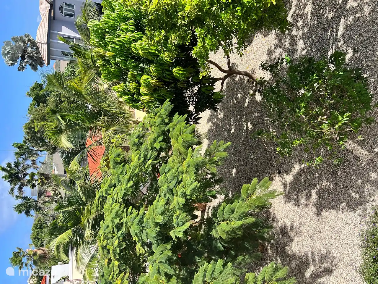 Der Gemeinschaftsgarten mit viel Schatten