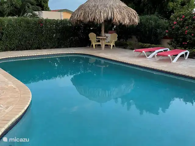 Casa Aruba Studio | Aruba, Nord, Alto Vista - appartement Piscine commune avec toujours de l'ombre de la palapa et de jolis transats