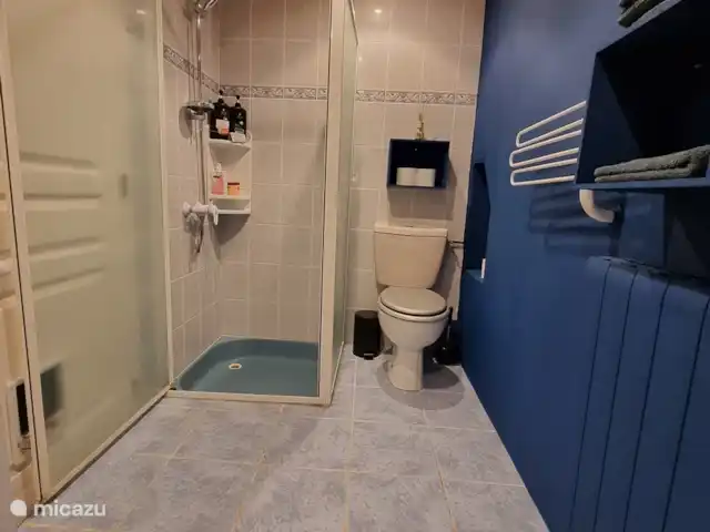 L’ancienne ferme de Goth | France, Lot, Serignac - maison de vacances La spacieuse salle de bain du rez-de-chaussée, accessible depuis la chambre.