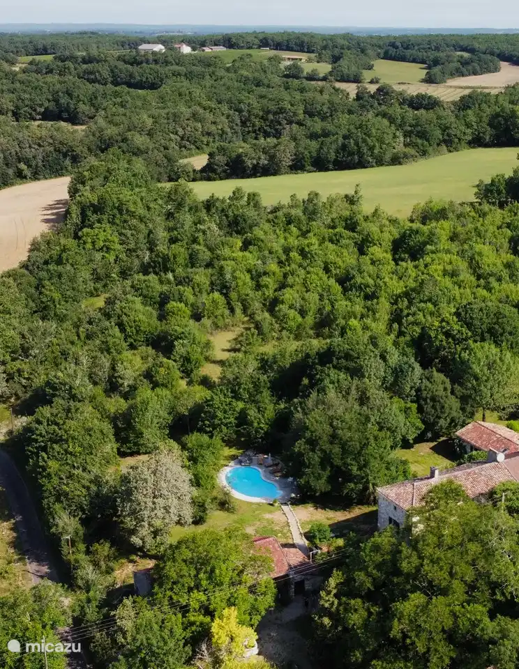 La naturaleza alrededor de la casa.
