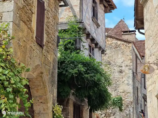 L’ancienne ferme de Goth | France, Lot, Serignac - maison de vacances Le cadre magnifique.